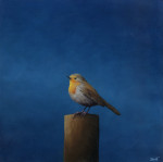 roodborst op vierkant blauw   22.6 x 22.6 cm (verkocht)